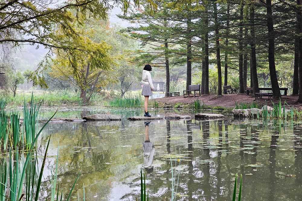 안동 여행 낙강물길공원 단풍 feat 물안개