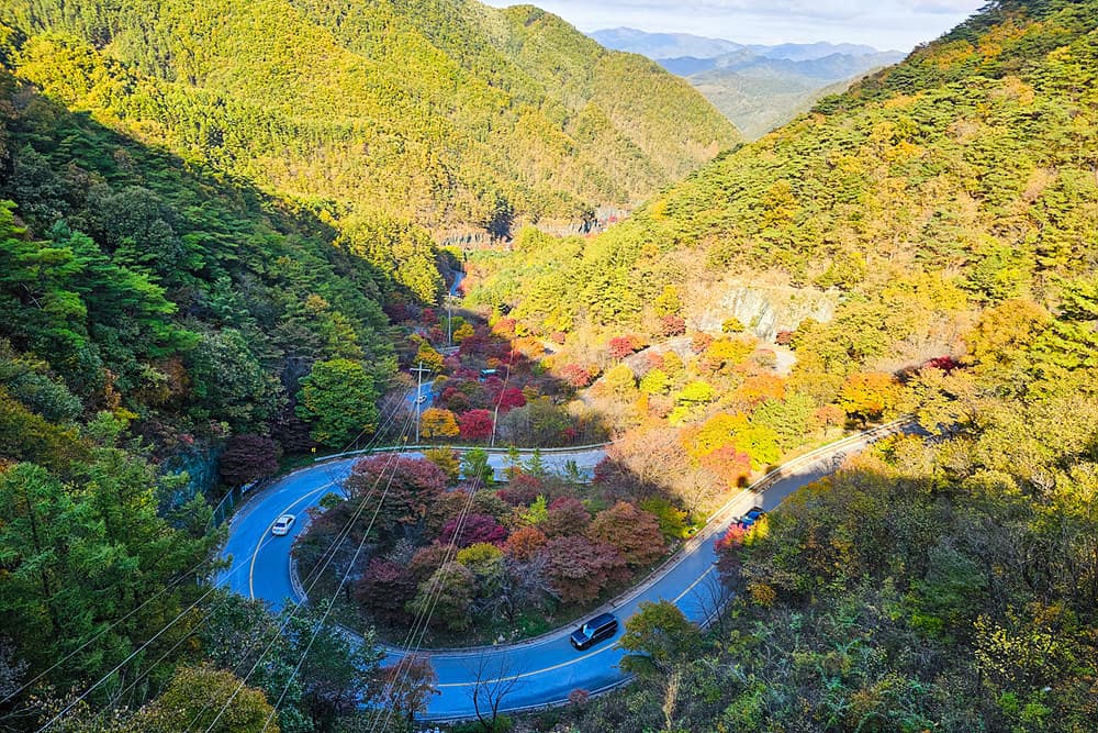 충북 단양 단풍 명소 보발재 전망대 feat 주차