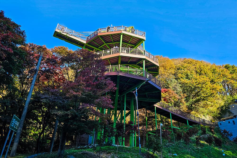 충북 보은 말티재 전망대 feat 속리산 단풍 명소