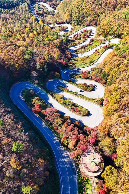 충북 보은 말티재 전망대 feat 속리산 단풍 명소