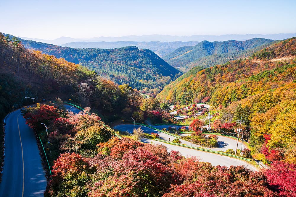 충북 보은 말티재 전망대 feat 속리산 단풍 명소